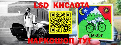 прущие грибы Ирбит