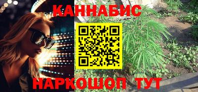прущие грибы Ирбит