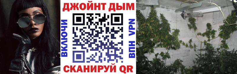 купить наркотик  Мурино  Бошки Шишки конопля 